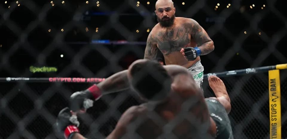Fighter stands over opponent on the mat