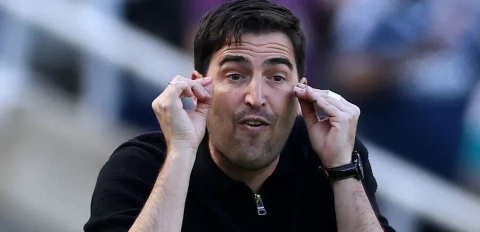 Coach gesturing passionately during a match