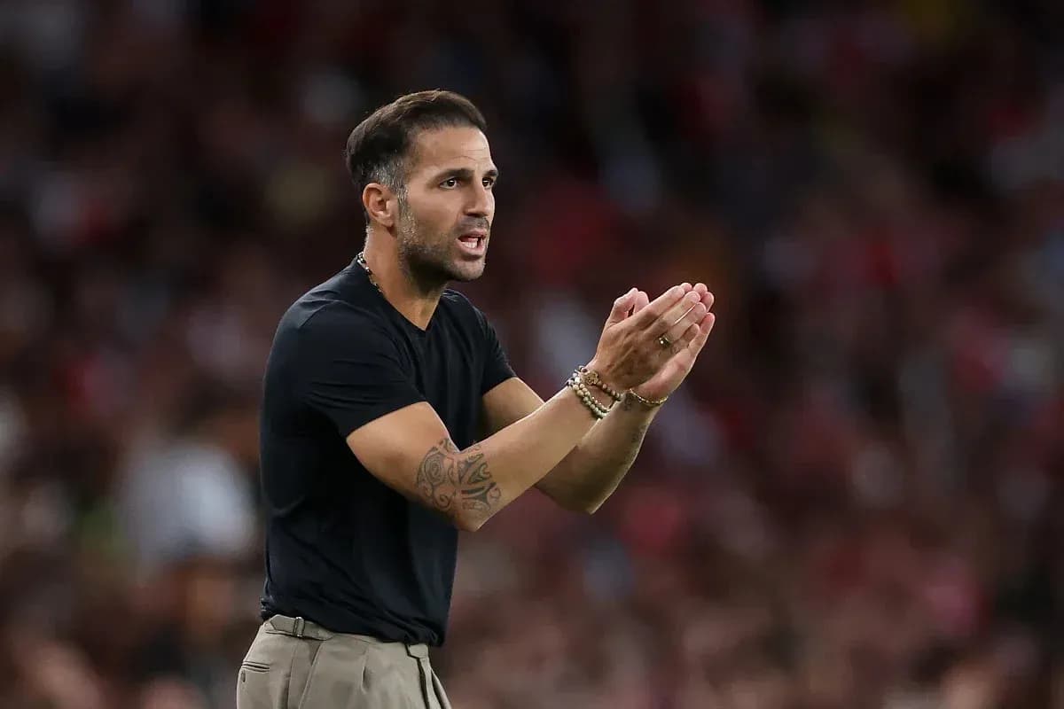 Coach gesturing during a football match Coach gesturing during a football match