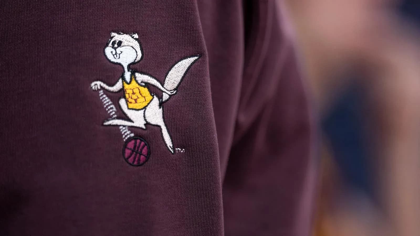 Embroidered mascot logo on dark sweatshirt Embroidered mascot logo on dark sweatshirt