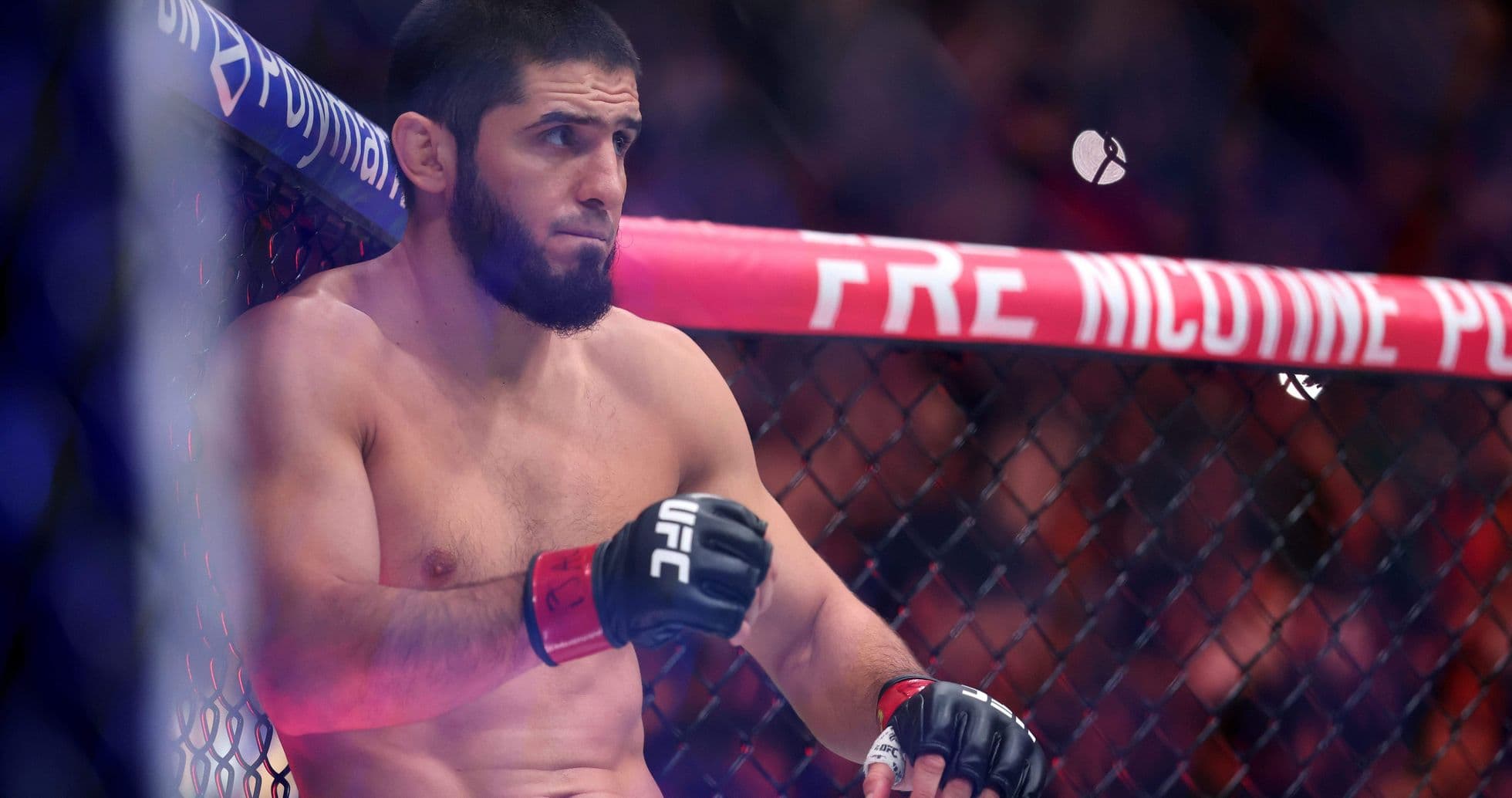 Fighter sitting in corner of UFC octagon Fighter sitting in corner of UFC octagon