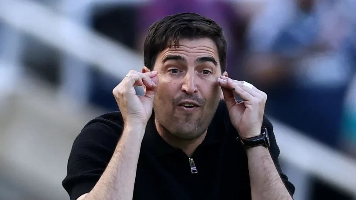 Coach gesturing passionately during a match Coach gesturing passionately during a match